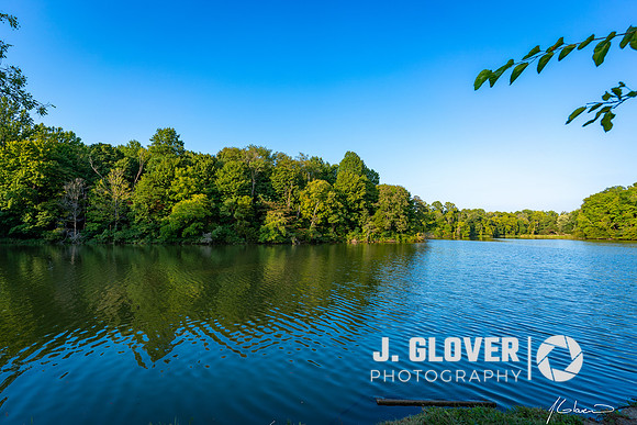 _JMG5093