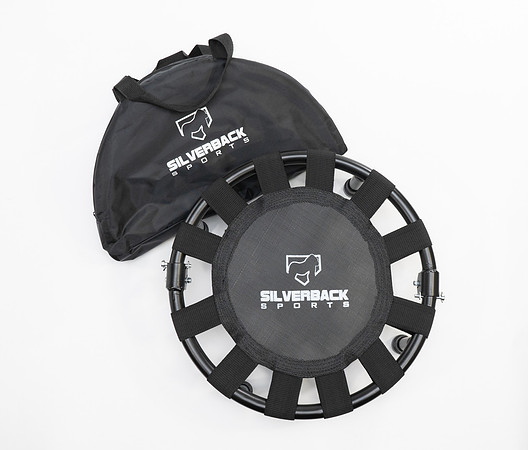Silverback-07699