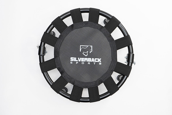Silverback-07637