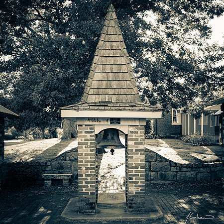 _JMG4974