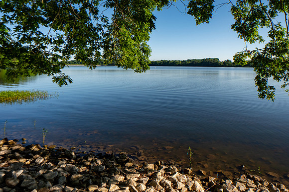 _JMG7418